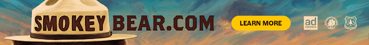 Advertisement
